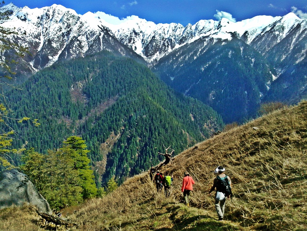 Shilt Thatch Trek