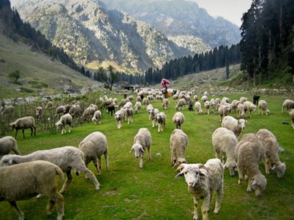 Uttarakhand