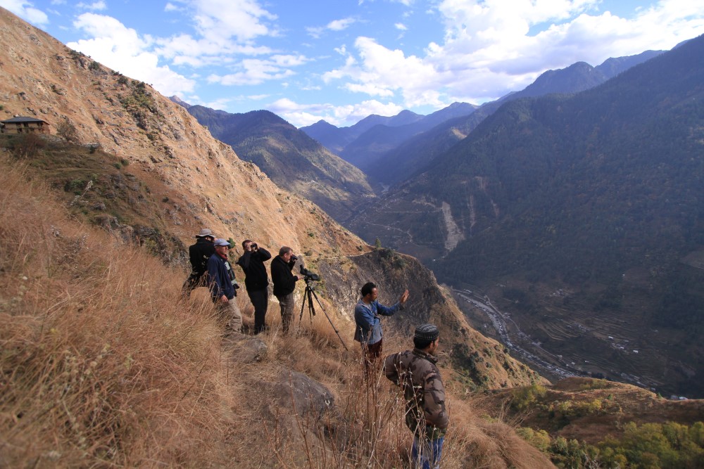 North India GHNP Birding Tour