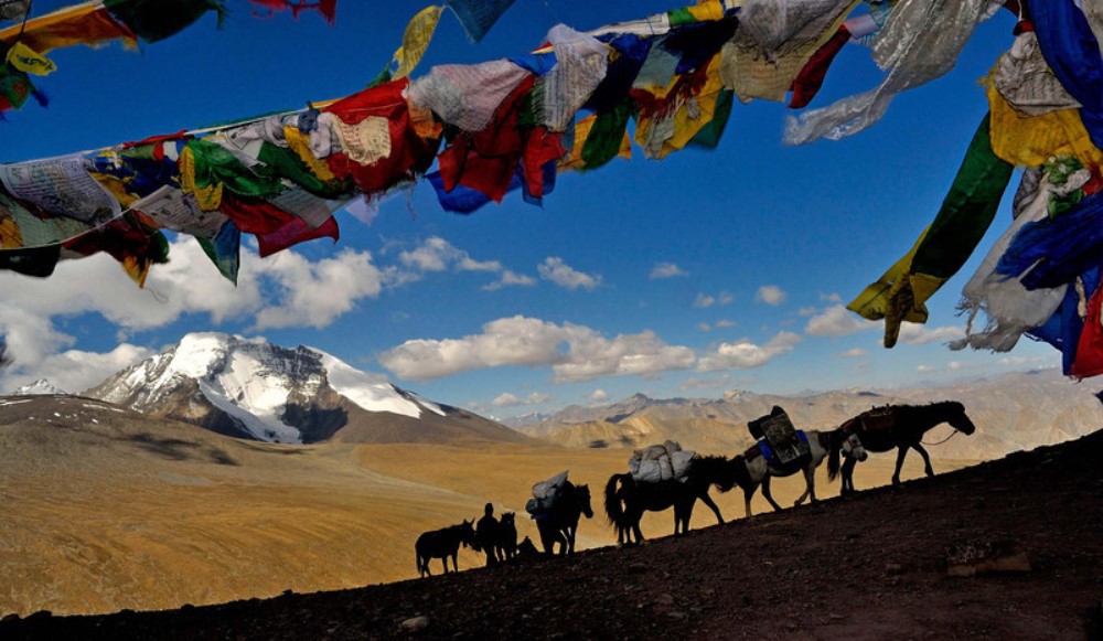 Markha Valley Trek