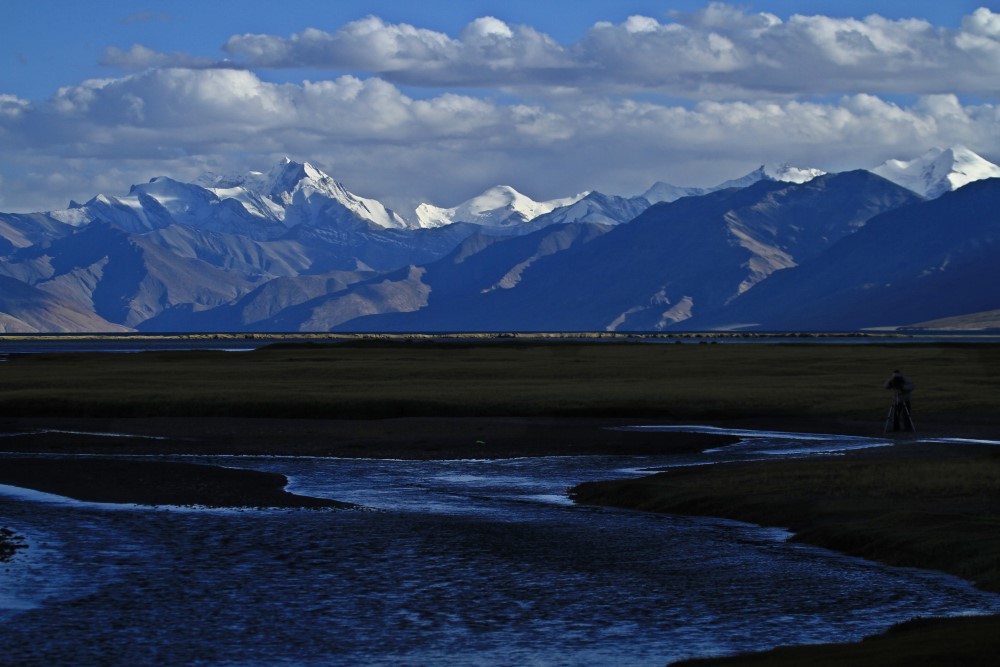 Trans Himalaya Birding Tour